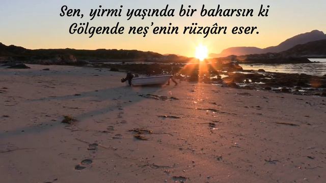 Ahmet Hamdi Tanpınar ,,Sen ve Ben" смотреть онлайн
