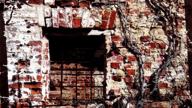 Тёплая Трасса – Надежда (1993) | Zrec.ru Records – ZREC 014; RU; 2013 смотреть онлайн