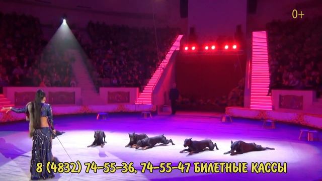 Дикая планета Брянск смотреть онлайн