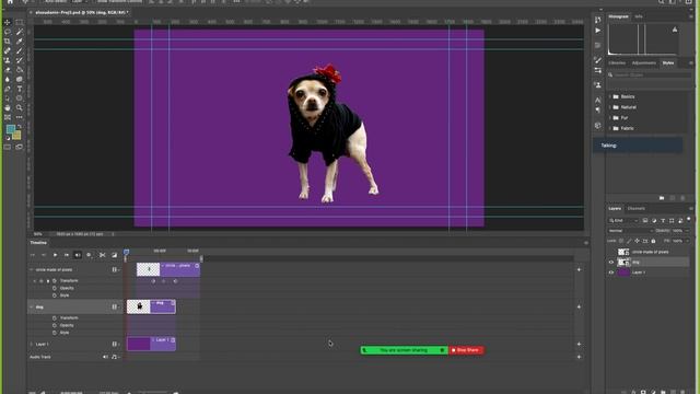 12 6 01 Project 5 - Animating in Photoshop using Vector Smart Objects Created in Illustrator смотреть онлайн