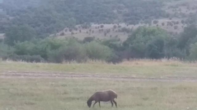 17 ноября 2023 г. (2).mp4 смотреть онлайн