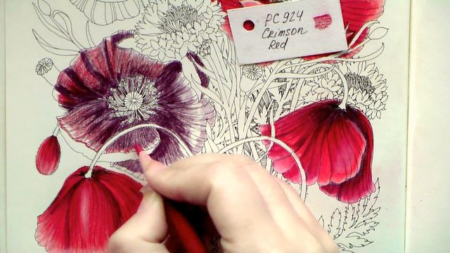 Colouring 'Flower year' Poppies and Cornflowers / Раскраска-антистресс / colored pencils смотреть онлайн