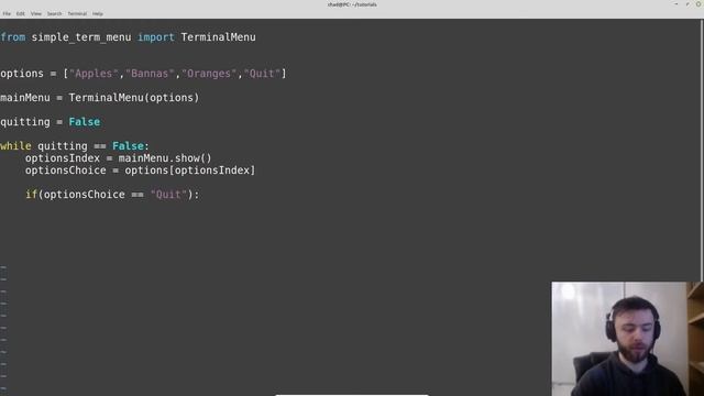 Simple menus in python смотреть онлайн