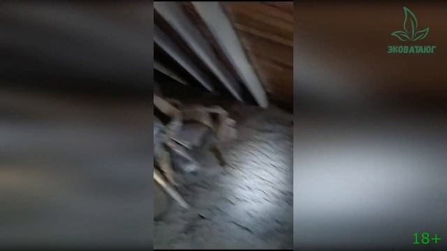 Видео отчёт о работе клиенту смотреть онлайн