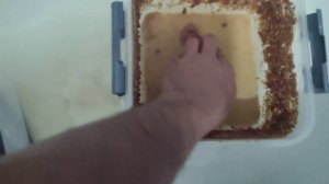 Обслуживаем и кормим трубочник ИЗЯ