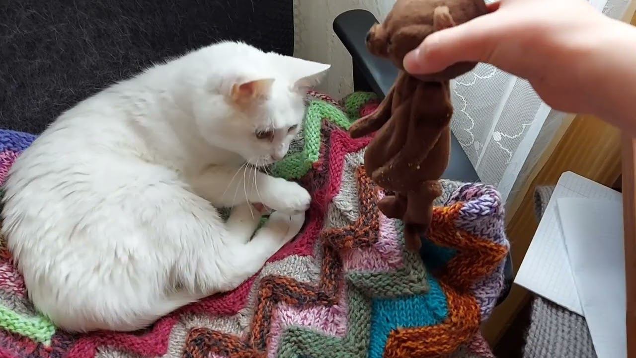 Таисия Пирогова /Teddy bear Thais Baker