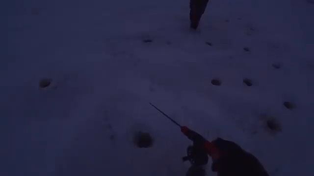 АЖ МУРАШКИ БЕГУТ от ЭТИХ ПОКЛЁВОК! Впервые ловлю НОЧНОГО СУДАКА со льда на ВИБЫ! Зимняя рыбалка 202 смотреть онлайн