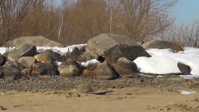 Весенняя прогулка по берегам Волги. смотреть онлайн