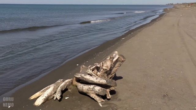 По пляжам от Поти (ფოთი) до Супсы (სუფსა). ( часть 1 ) смотреть онлайн