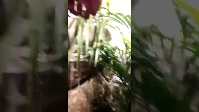 Искусственный водопад скала в интерьере смотреть онлайн