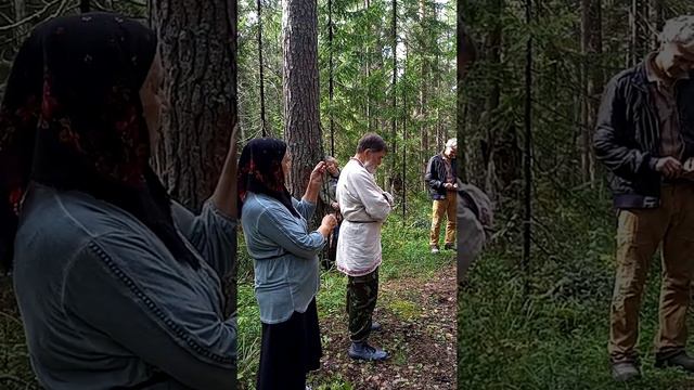 Лестовка смотреть онлайн