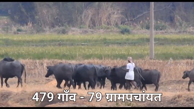 Lakhisarai City | most famous district of Bihar | बिहार का लखीसराय जिला смотреть онлайн