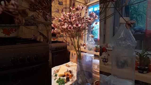 влог муж подарил речные цветы смотреть онлайн