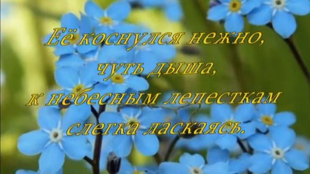 Ветер и Незабудка смотреть онлайн