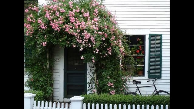 ❀ 6 идей, как сделать розарий на даче | 6 ideas on how to make a rose garden in the country смотреть онлайн