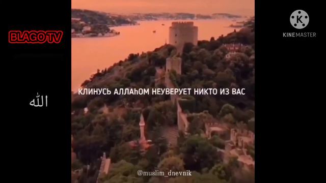 Желай то что желаешь себе своему брату смотреть онлайн