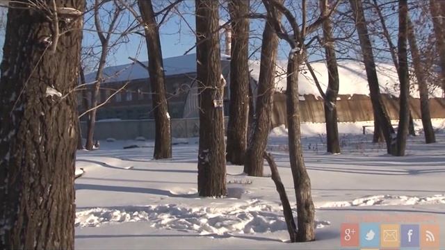 Кормушки в парке смотреть онлайн