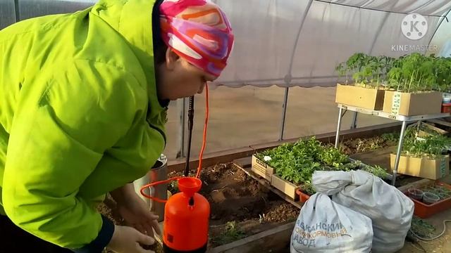 Обработка деревьев. Актара.??❌??? смотреть онлайн