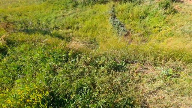 Где исток у Солоновки. смотреть онлайн