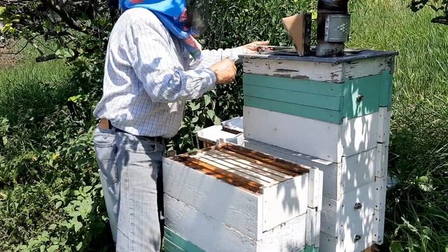 30 июля 2020 г. Расширение (решотка над третьим корпусом) при 145-ои рамке. смотреть онлайн