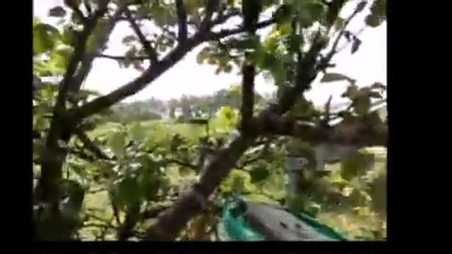 Заселение роя в колоду (07.06) смотреть онлайн