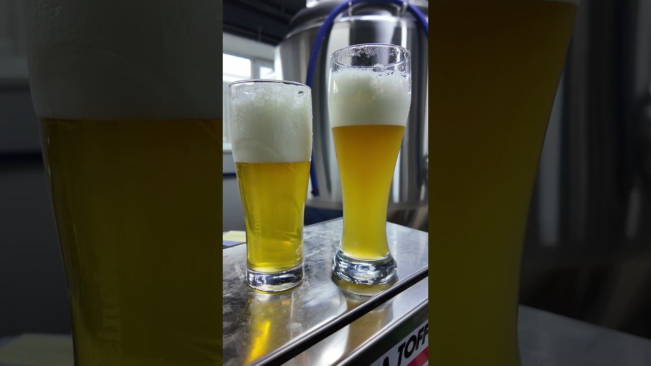 Фильтруем пиво #самозванцы #пиво #shorts смотреть онлайн