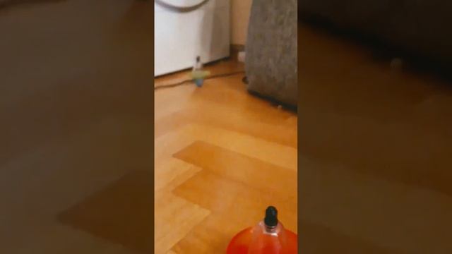 волчки лего нинзяго смотреть онлайн