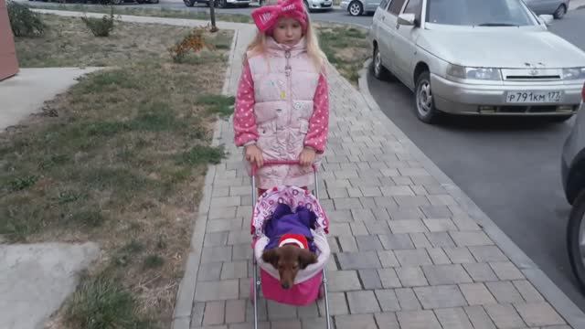 купили щенка смотреть онлайн