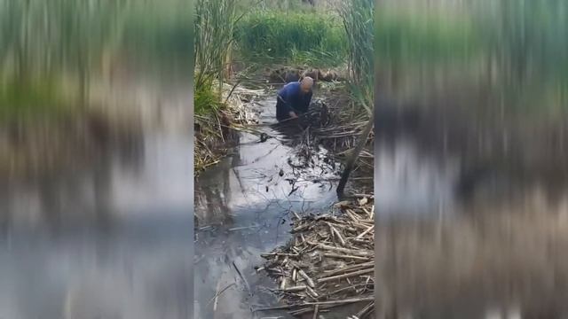 Весёлая рыбалка! Поймал карпа руками! смотреть онлайн