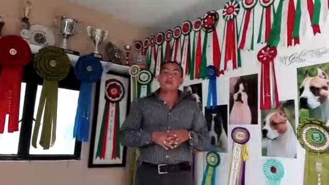 Mitos y Verdades de los Pitbull 2 смотреть онлайн