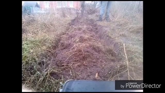 Закладка плодового рядя ежевики осень смотреть онлайн