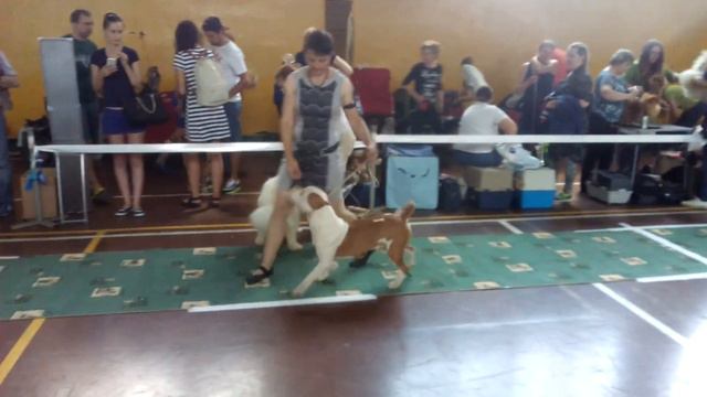 VID 20180603 140553 смотреть онлайн