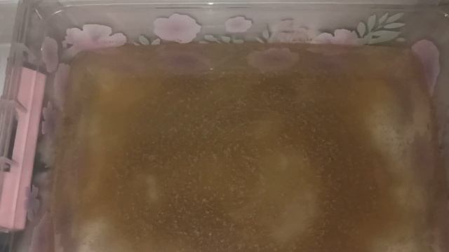 цисты артемии с фикс прайс смотреть онлайн