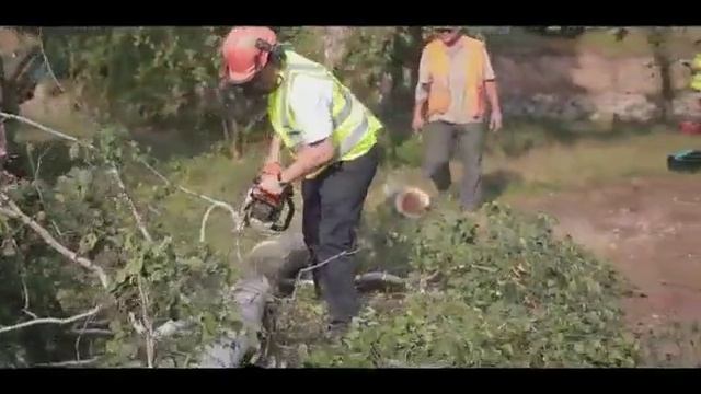 Мастер-класс 