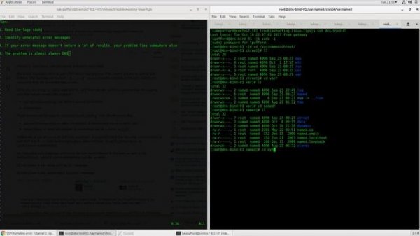 Troubleshooting Linux servers/Live demo