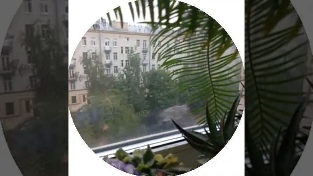 Ворона устала жить на улице :) смотреть онлайн