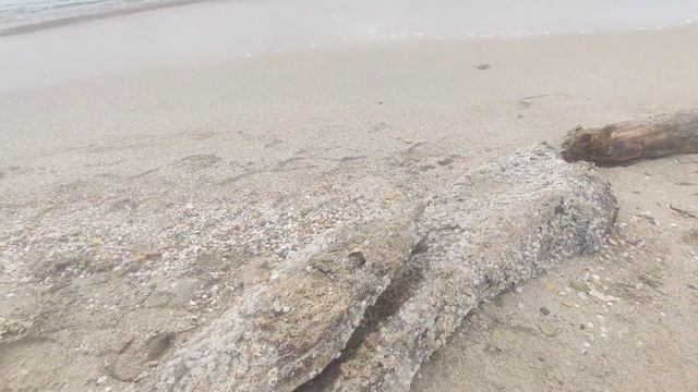 Лазурная набережная, Евпатория, Крым, январь 2023, опять похолодало. смотреть онлайн