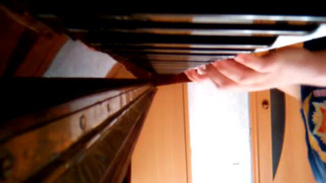 В мире животных смотреть онлайн