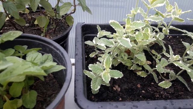 Ремонт на Дому