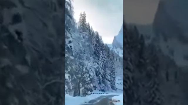 В ЭТОМ МИРЕ СТОЛЬКО ЛЖИ... ПЕСНЯ ДУШУ ШКРИБЕТ СЛУШАЕТЕ... смотреть онлайн
