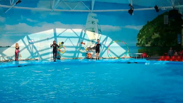 Классное видео с дельфинами (Минский дельфинарий) смотреть онлайн