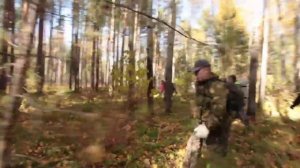 Лиза Алерт: поиски пропавшей в лесу