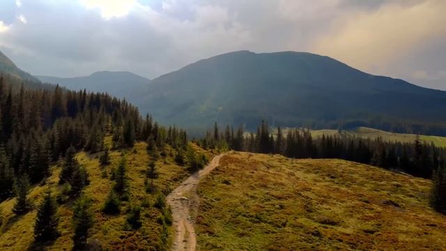 Morning Meditation, Inner Peace Music, Positive Energy, Yoga Music, Relaxing Music