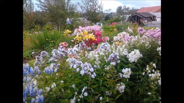 ПЕНСИОНЕРЫ. ЧЕМ ЖЕ ОНИ ЗАНИМАЮТСЯ? смотреть онлайн