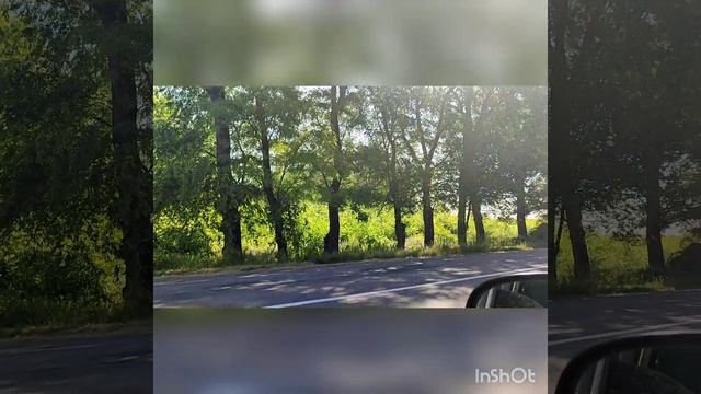 СМТ.ПЕТРИКОВКА,ДНЕПРОПЕТРОВСКАЯ ОБЛ.ОБРЕЗКА АКАЦИИ ДО УРОВНЯ ПЕНЕК! смотреть онлайн