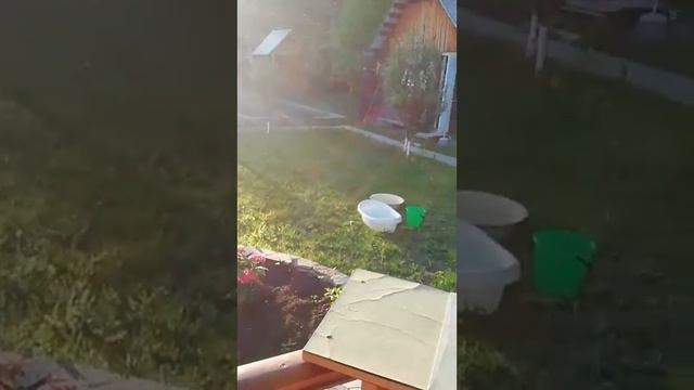 Дача, влог и животные (часть 1) смотреть онлайн