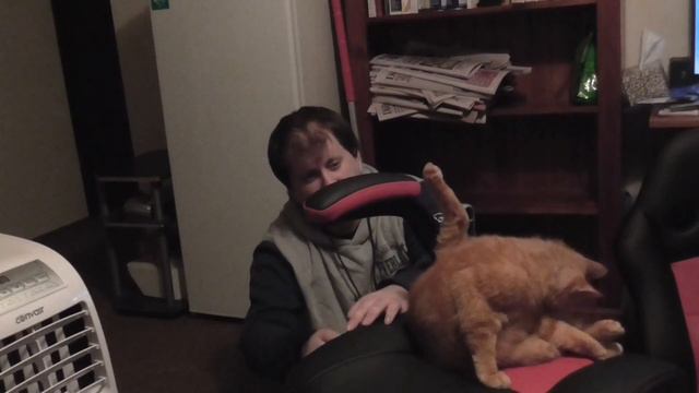 January Channel Update Whilst Building a Flippen Chair Huzzah смотреть онлайн