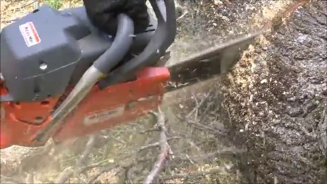 Íme a FŰRÉSZ MÁNIA új saját zenéje смотреть онлайн