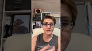 Что делать, когда собака писает на кровать?