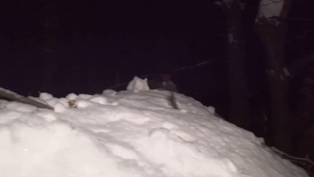 Дом из снега | Укрытие в лесу | Зимняя Ночевка смотреть онлайн